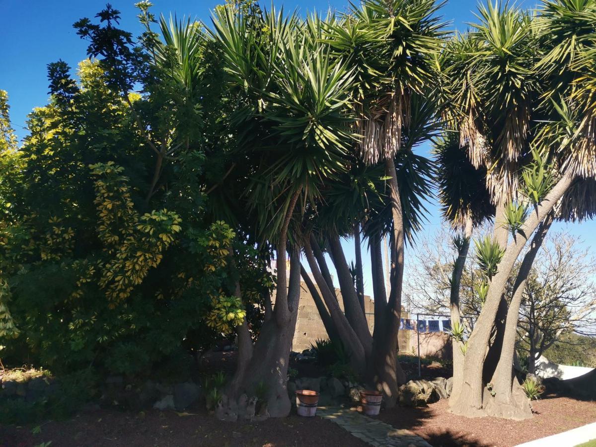Casa vacanze La Rosa Vieja